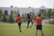 OTFL Gallery Image
